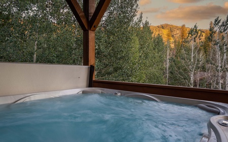 Brown Bear Chalet 3