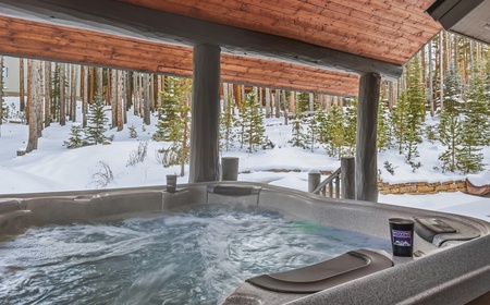 Ski Hill Sanctuary 2