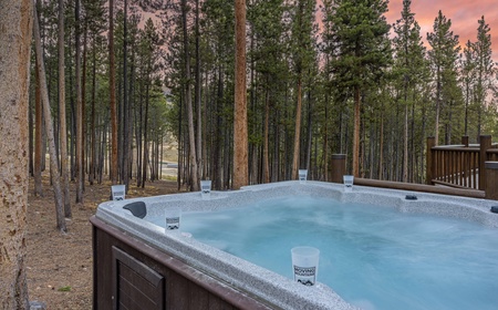Ski Classic Lodge 3