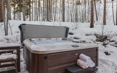 Majestic Mountain Lodge 2