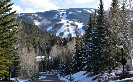 Chalet Fairway 3