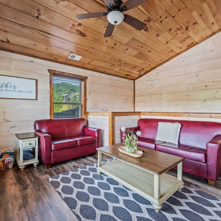 Bear Family Cabin