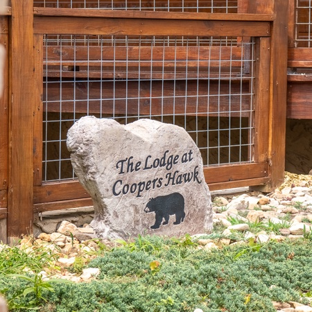 The Lodge At Coopers Hawk