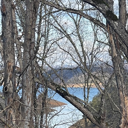 Bearburgh On The Lake