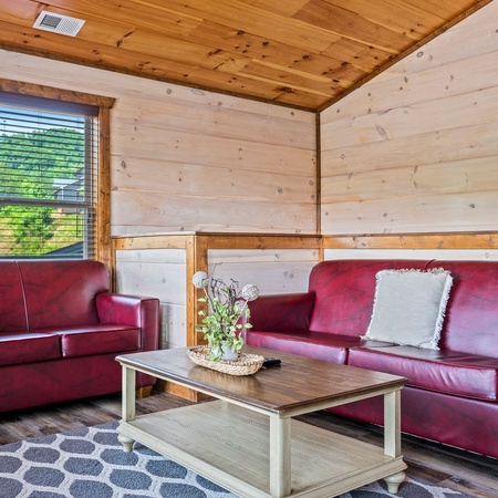 Bear Family Cabin