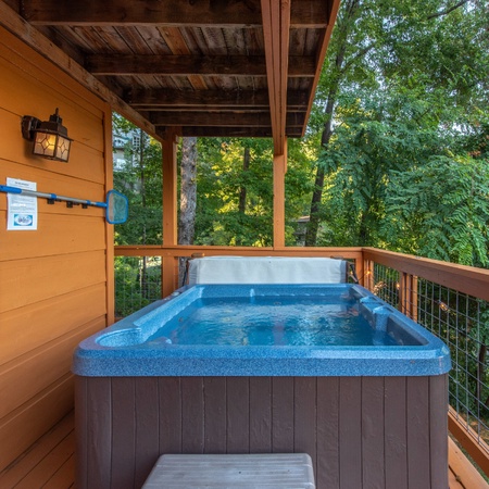 Honey Bear Lodge