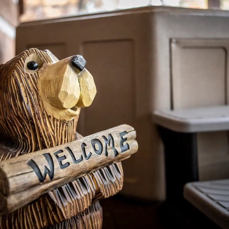 Bearly Livin'
