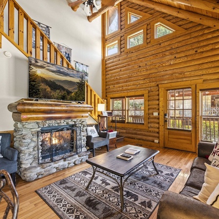 Cozy Bear Cove