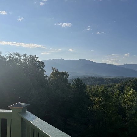 Mountain View Paradise