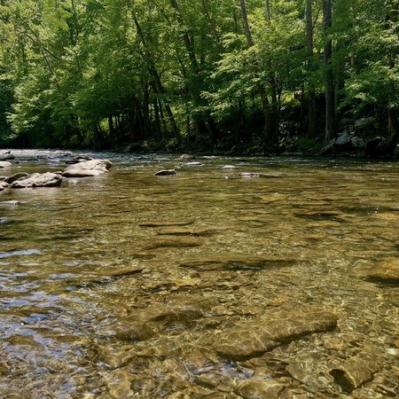 Tennessee Glow