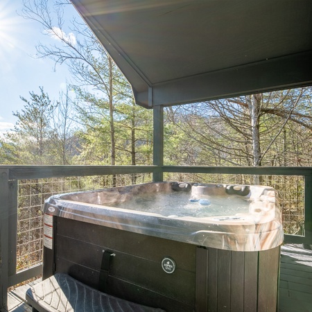 Country Bear Hideaway