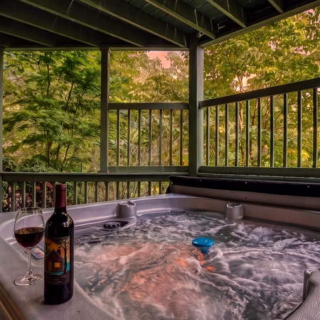 Mountain View Paradise