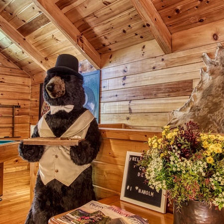 Cozy Bear Lodge