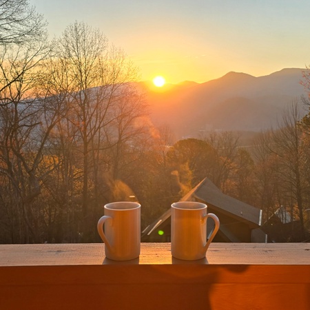 Honey Bear Lodge