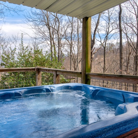 Bear View Chalet