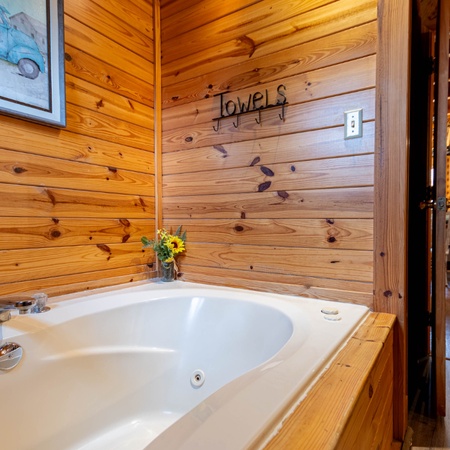 Pigeon Forge Perch