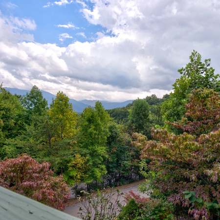 Mountain View Paradise
