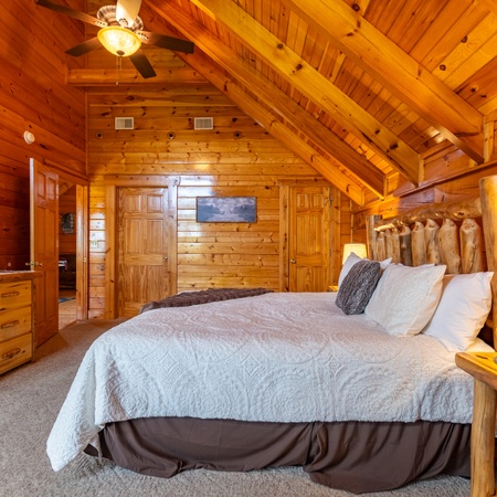 Bear Essentials Lodge