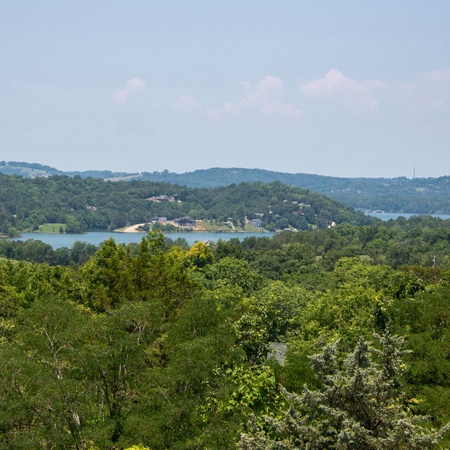 Lakeview Serenity