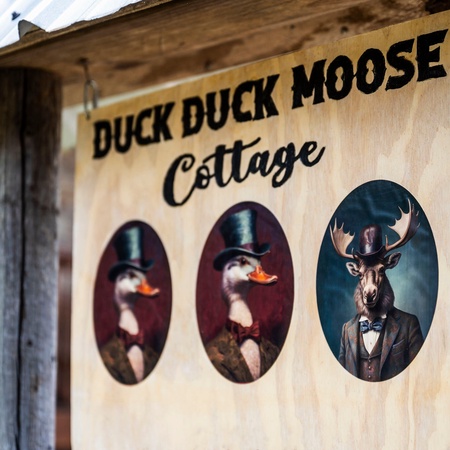 Duck Duck Moose