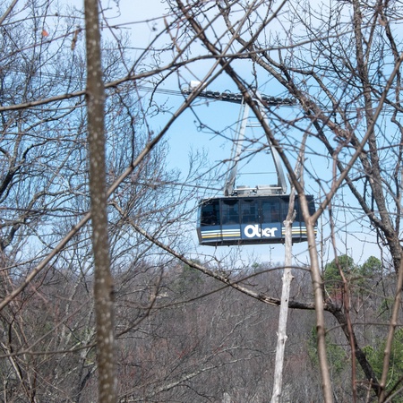 Bear View Chalet