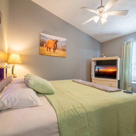 Beary Cozy Condo