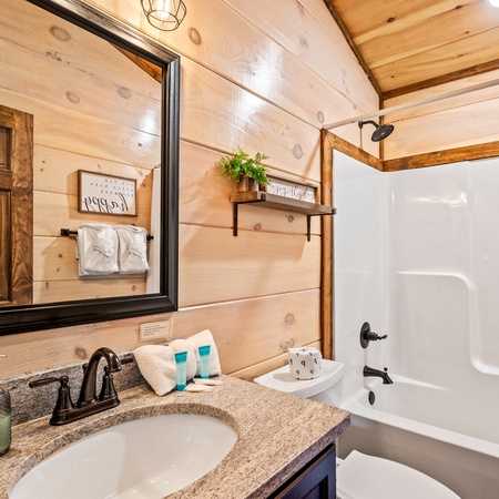 Bear Family Cabin
