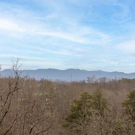 Mountain Breeze