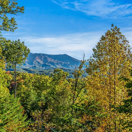Some Peak Somewhere Cabin