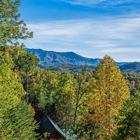 Some Peak Somewhere Cabin