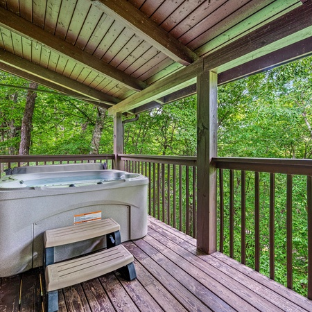 Smoky Mountain Jewel Unit 2