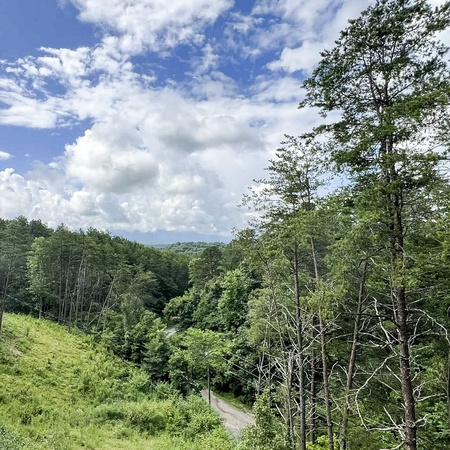 Mountain Bliss