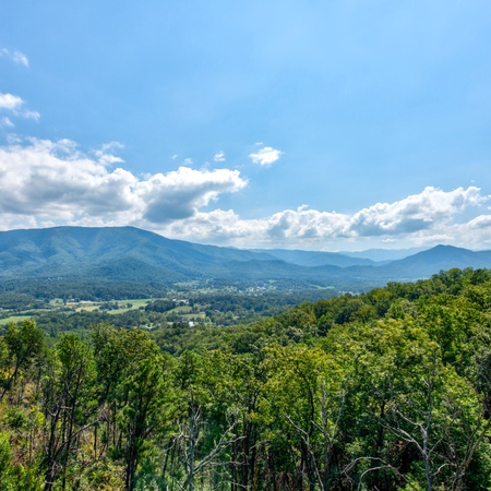 Black Bear-y Ridge