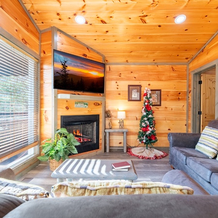 Country Bear Hideaway