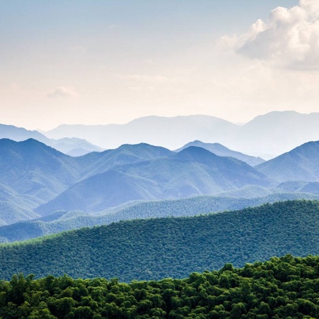Owl Be Back