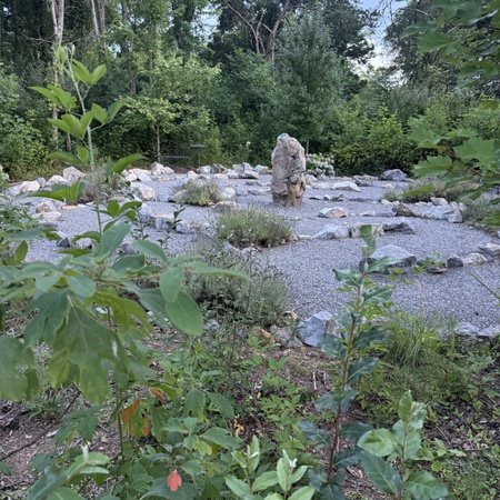 The Ancient Bear's Den