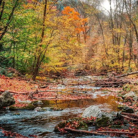 Rustic Retreat