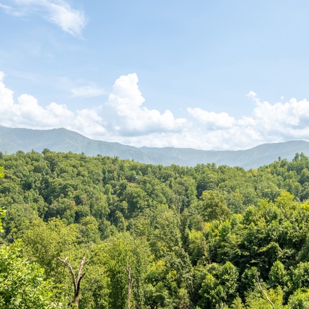 Cloud Haven Retreat