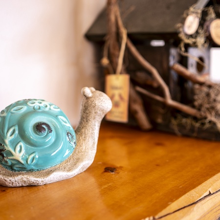 Snail's Pace