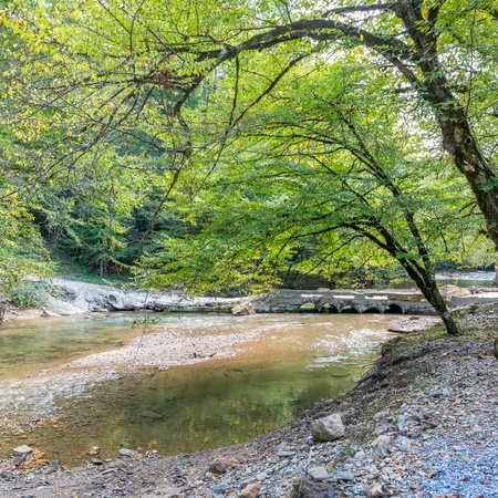 Cabin on the Creek