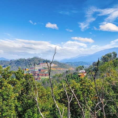 Smoky Mountain Dreams