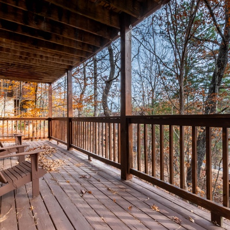Pigeon Forge Perch