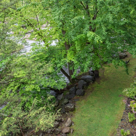 Cs Creekside Condo