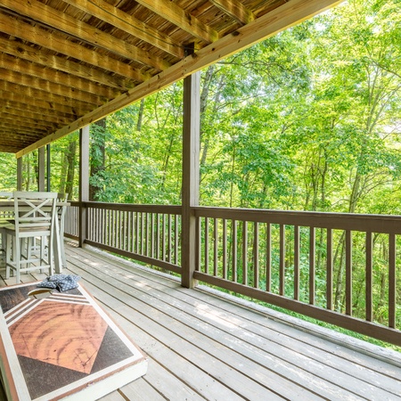 Laurel Mountain Lodge