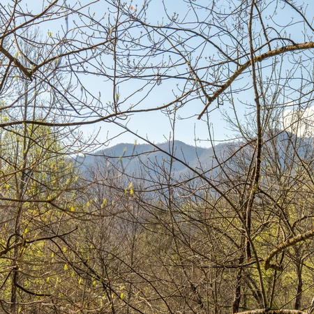 Hidden Retreat