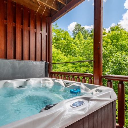 Bear Essentials Lodge