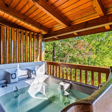 Some Peak Somewhere Cabin
