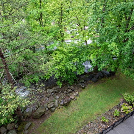 Cs Creekside Condo