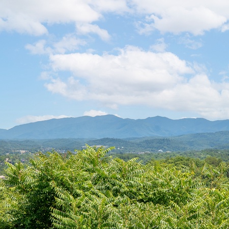Rendez-View
