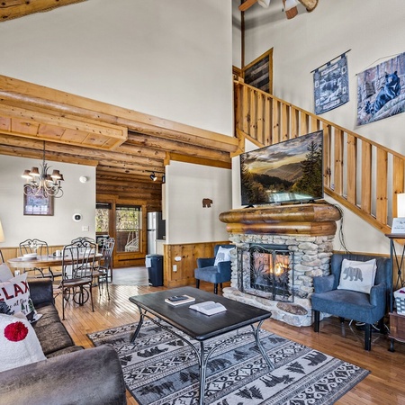 Cozy Bear Cove